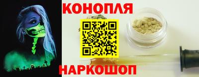 сатива Пенза