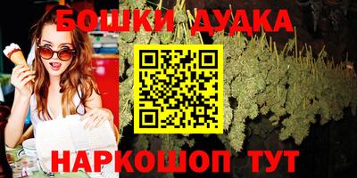 крисы Партизанск