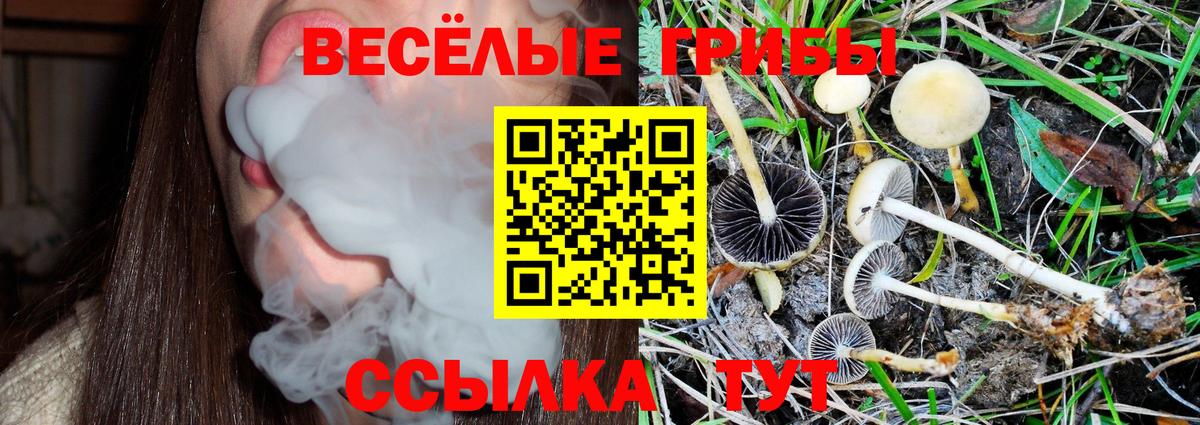 Псилоцибиновые грибы ЛСД Чита